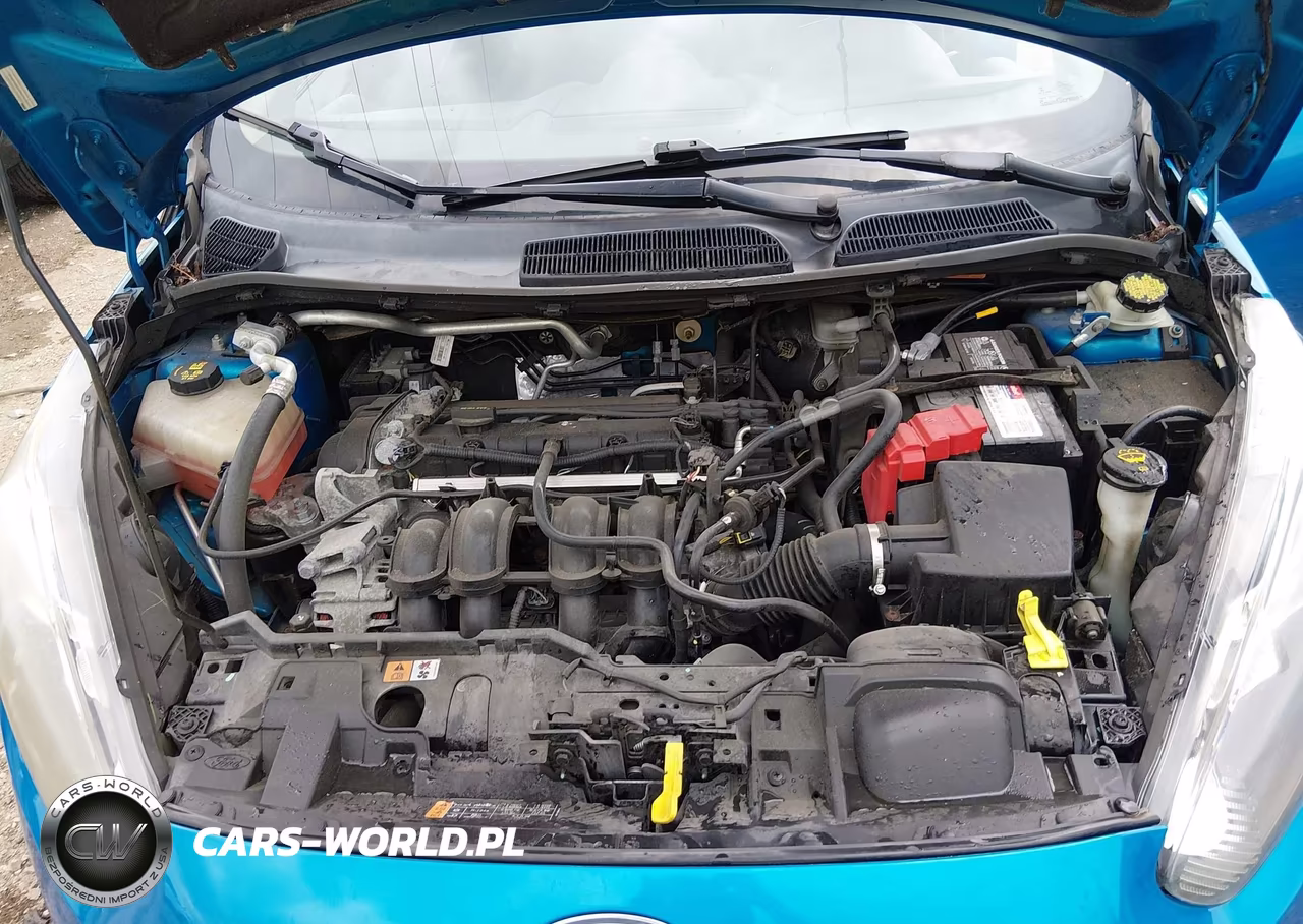 2015 Ford Fiesta Se VIN:3FADP4BJXFM175555 - 10