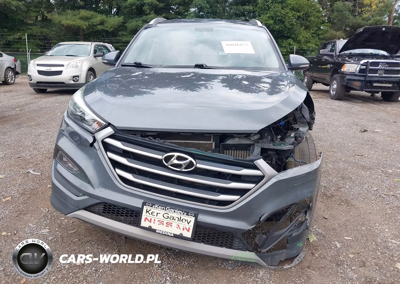 2017 Hyundai Tucson Sport VIN:KM8J33A24HU520814 - 13