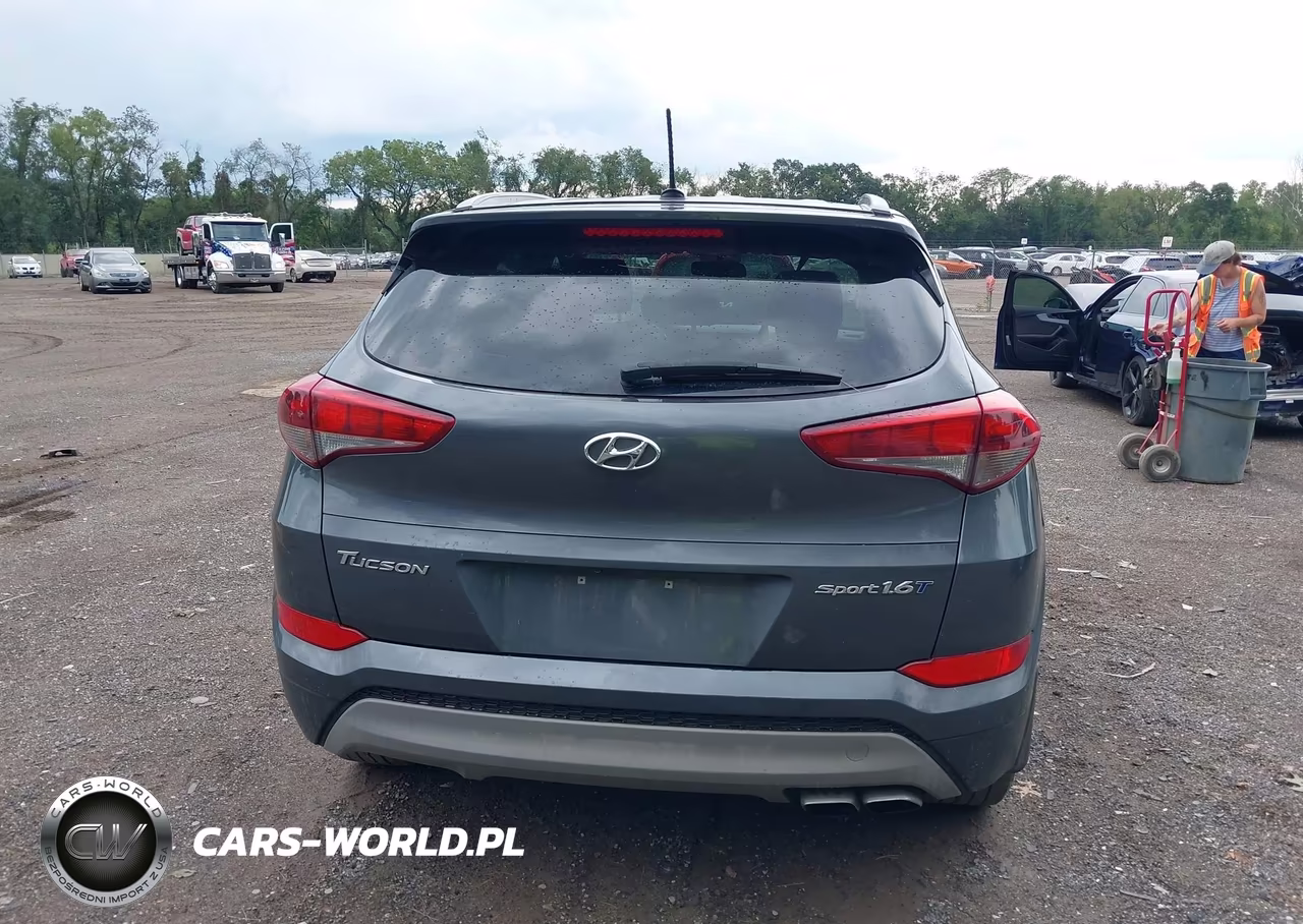 2017 Hyundai Tucson Sport VIN:KM8J33A24HU520814 - 17