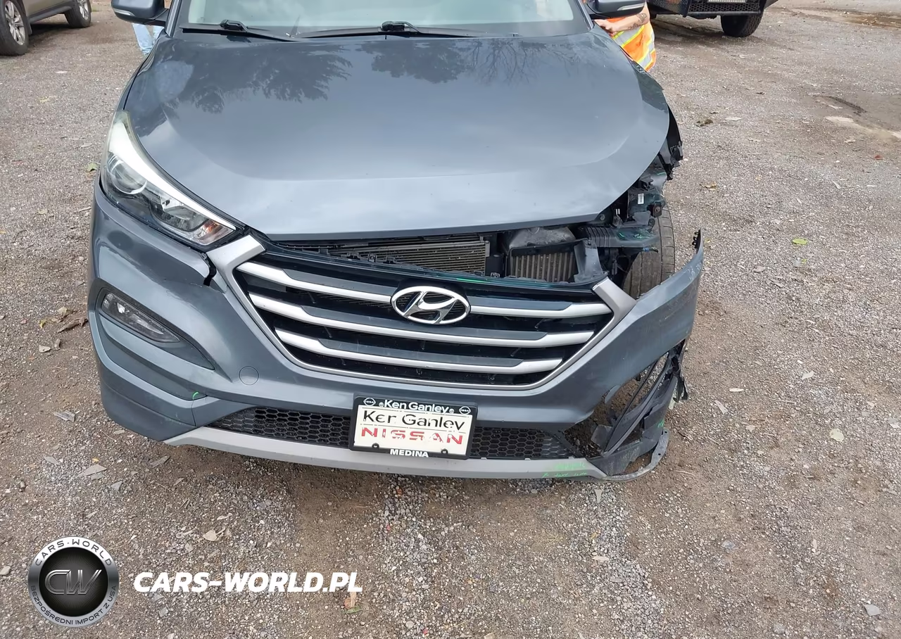 2017 Hyundai Tucson Sport VIN:KM8J33A24HU520814 - 19