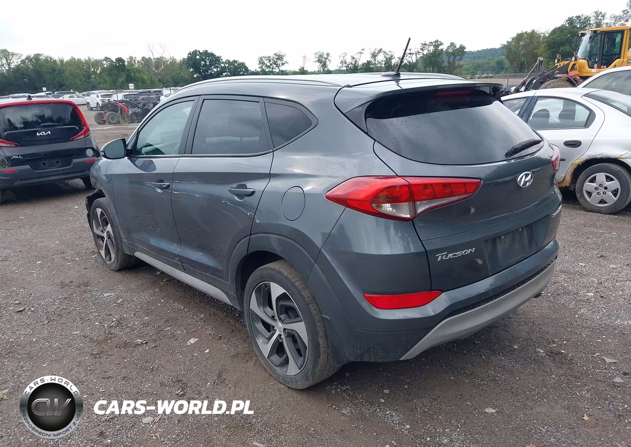 2017 Hyundai Tucson Sport VIN:KM8J33A24HU520814 - 3