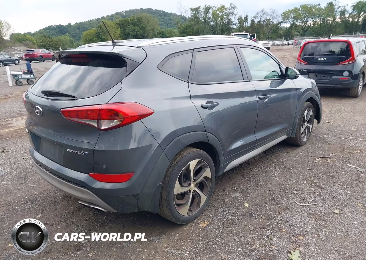 2017 Hyundai Tucson Sport VIN:KM8J33A24HU520814 - 4