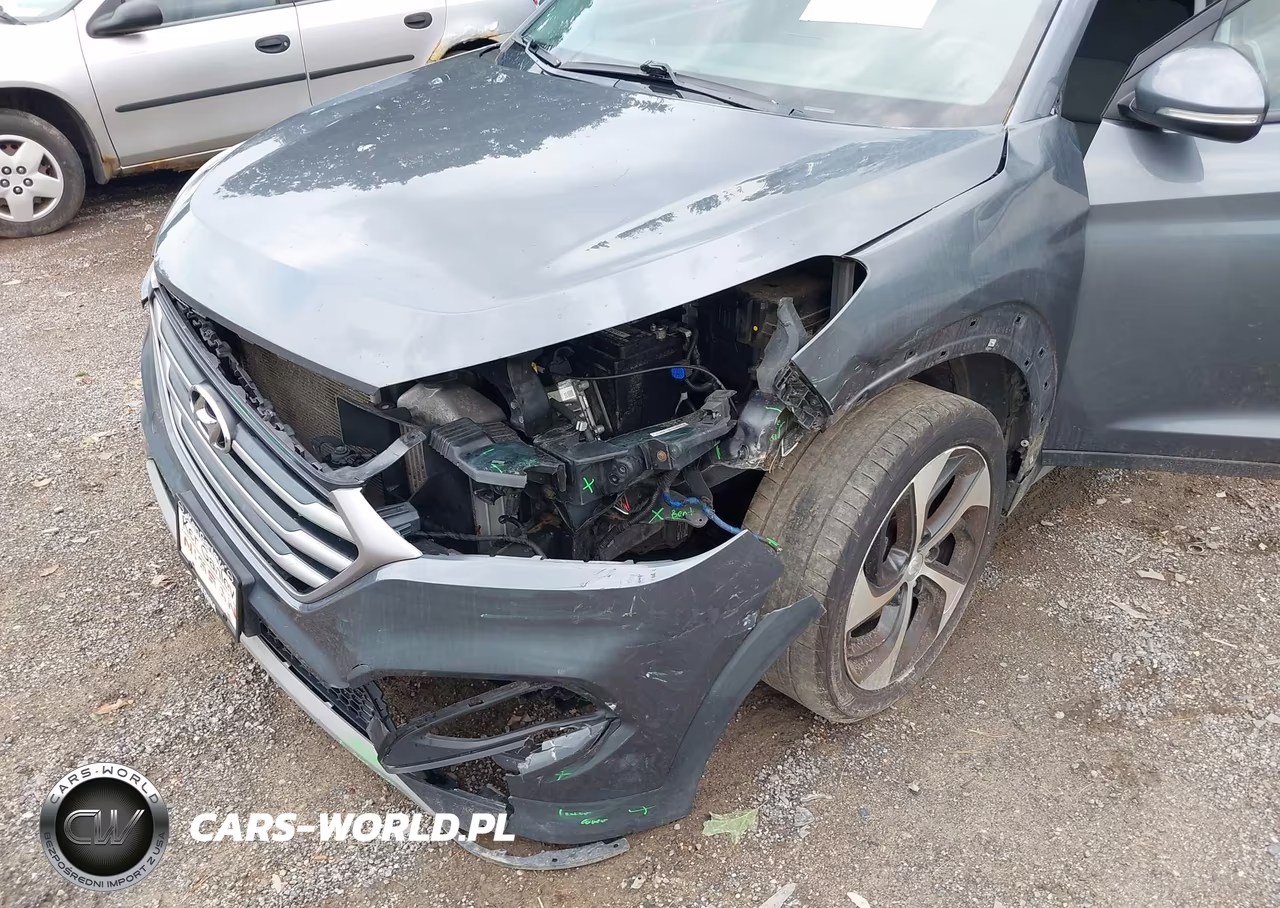 2017 Hyundai Tucson Sport VIN:KM8J33A24HU520814 - 6
