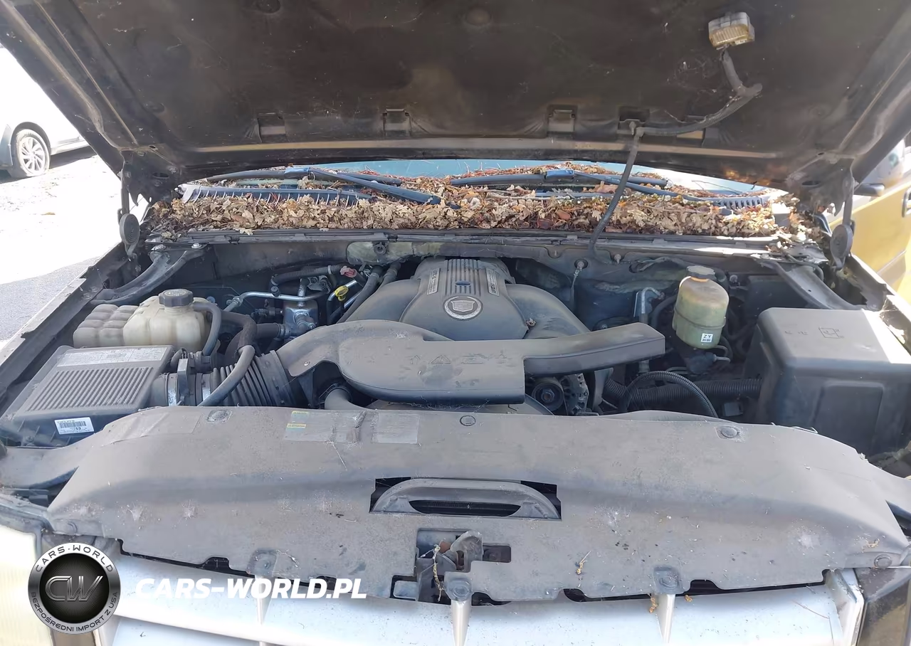 2002 Cadillac Escalade Standard VIN:1GYEK63N42R291945 - 10
