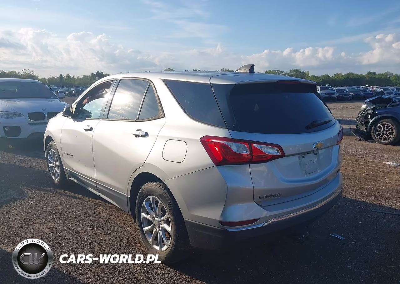 2018 Chevrolet Equinox Ls VIN:3GNAXHEV9JS565481 - 3