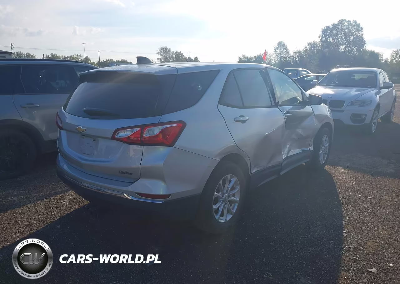 2018 Chevrolet Equinox Ls VIN:3GNAXHEV9JS565481 - 4