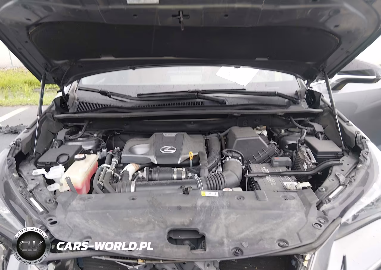 2021 Lexus Nx 300 F Sport VIN:JTJSARBZXM2189530 - 10