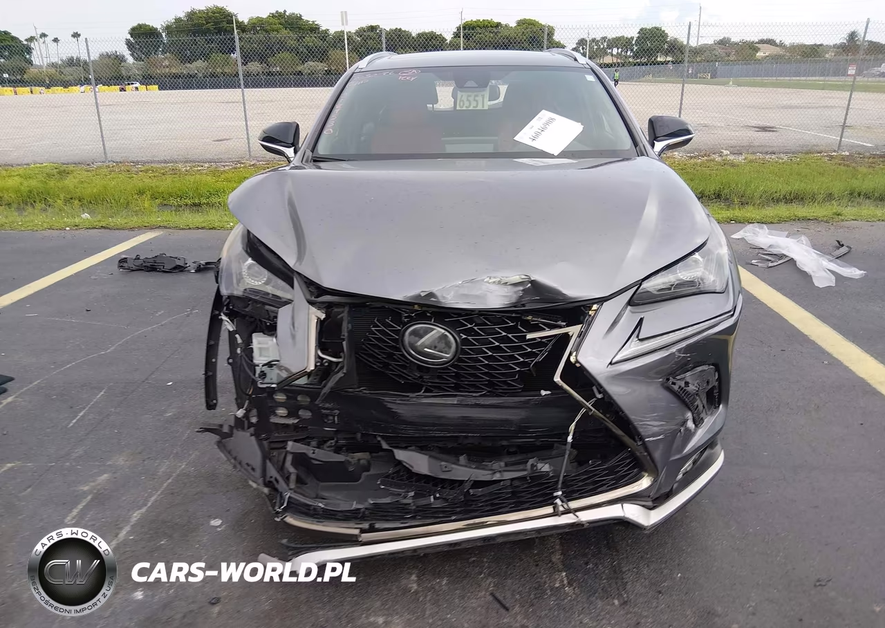 2021 Lexus Nx 300 F Sport VIN:JTJSARBZXM2189530 - 12