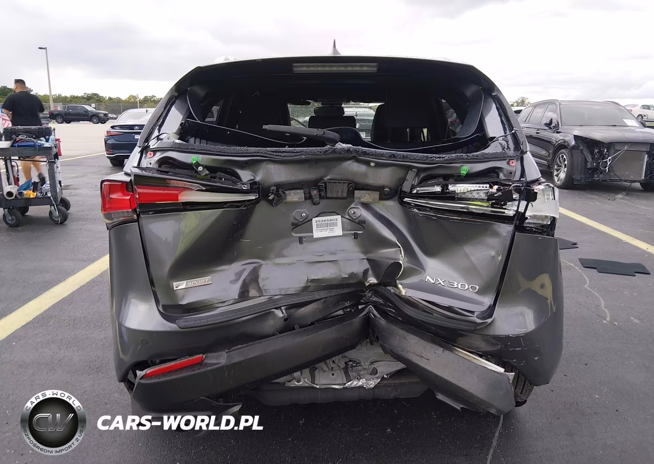 2021 Lexus Nx 300 F Sport VIN:JTJSARBZXM2189530 - 16
