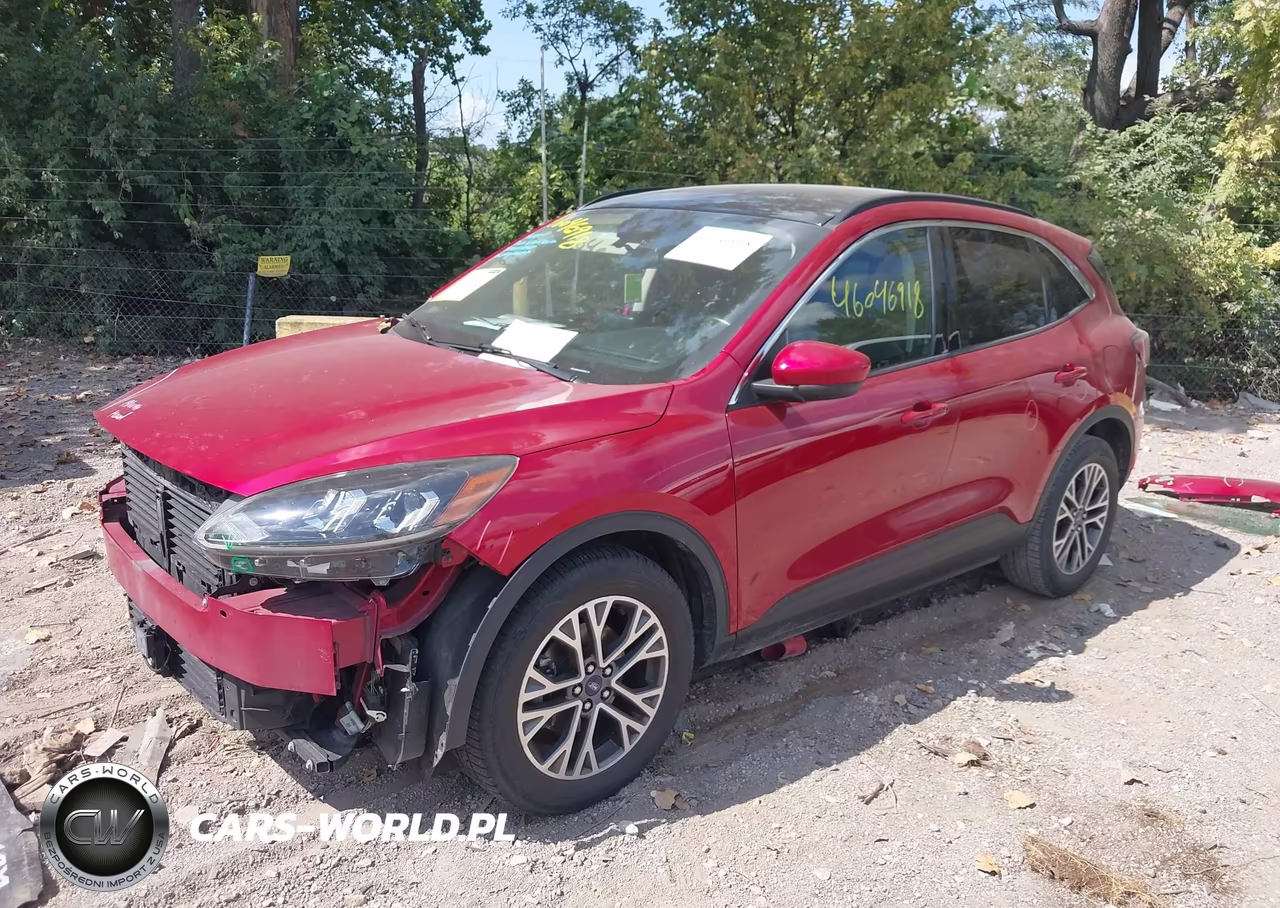 2020 Ford Escape Sel VIN:1FMCU0H63LUA29320 - 2