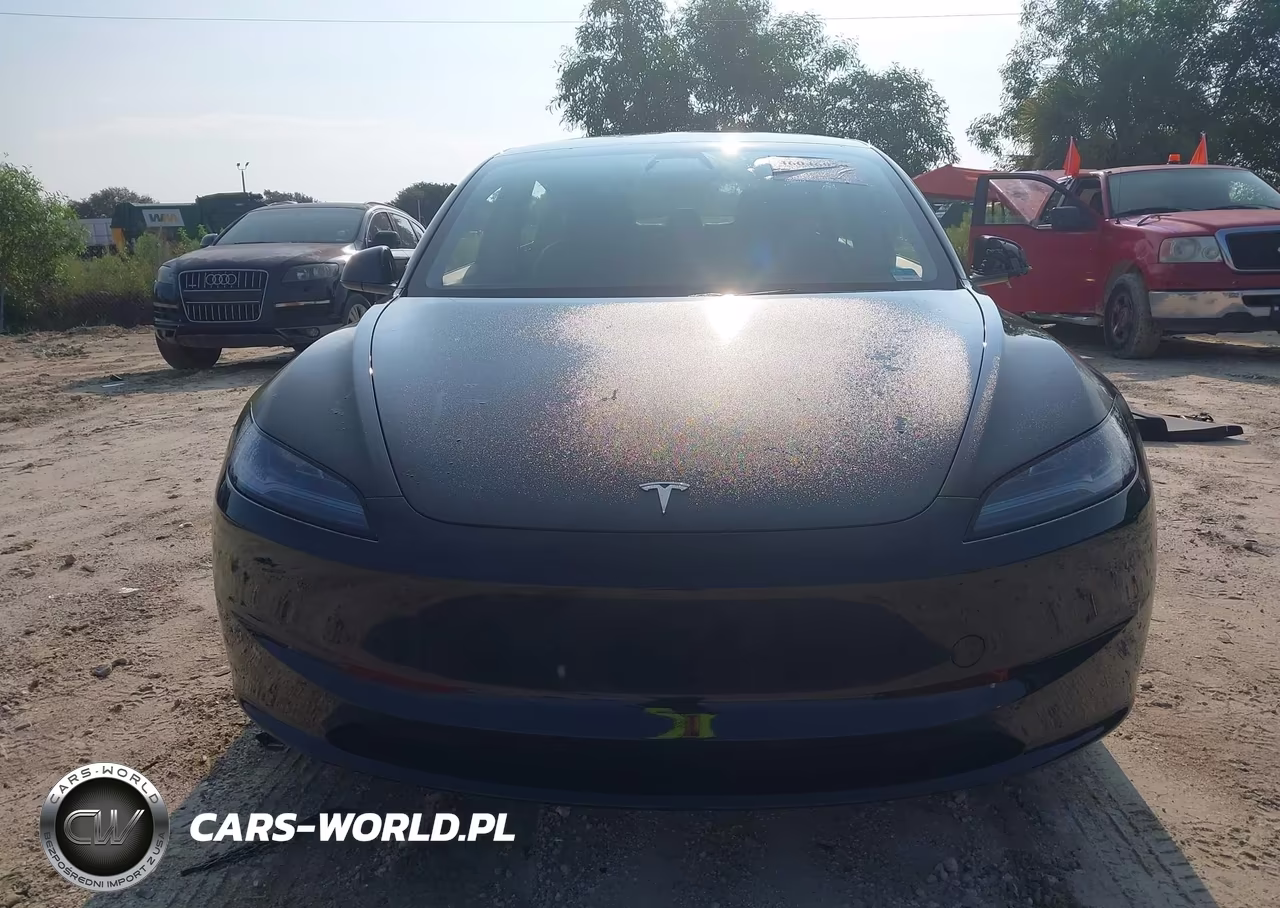 2025 Tesla Model 3 Long Range Rear-Wheel Drive-Standard Rear-Wheel Drive VIN:5YJ3E1EA7SF011684 - 12
