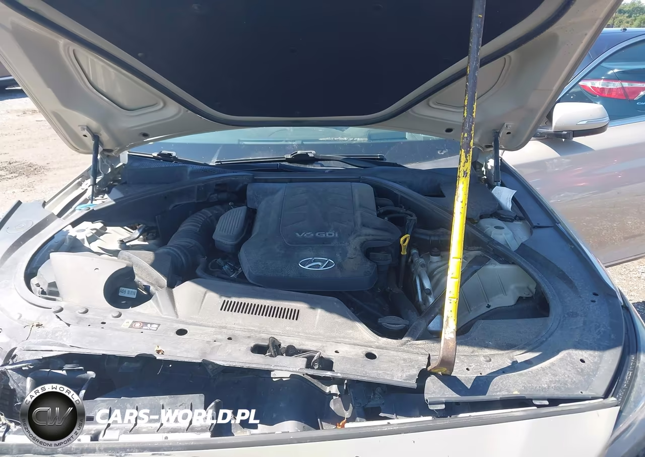 2015 Hyundai Genesis 3.8 VIN:KMHGN4JEXFU073990 - 10