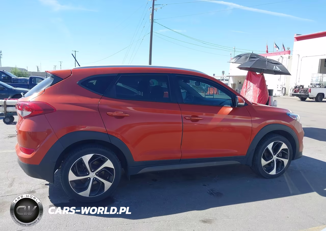 2016 Hyundai Tucson Sport VIN:KM8J3CA29GU068180 - 13