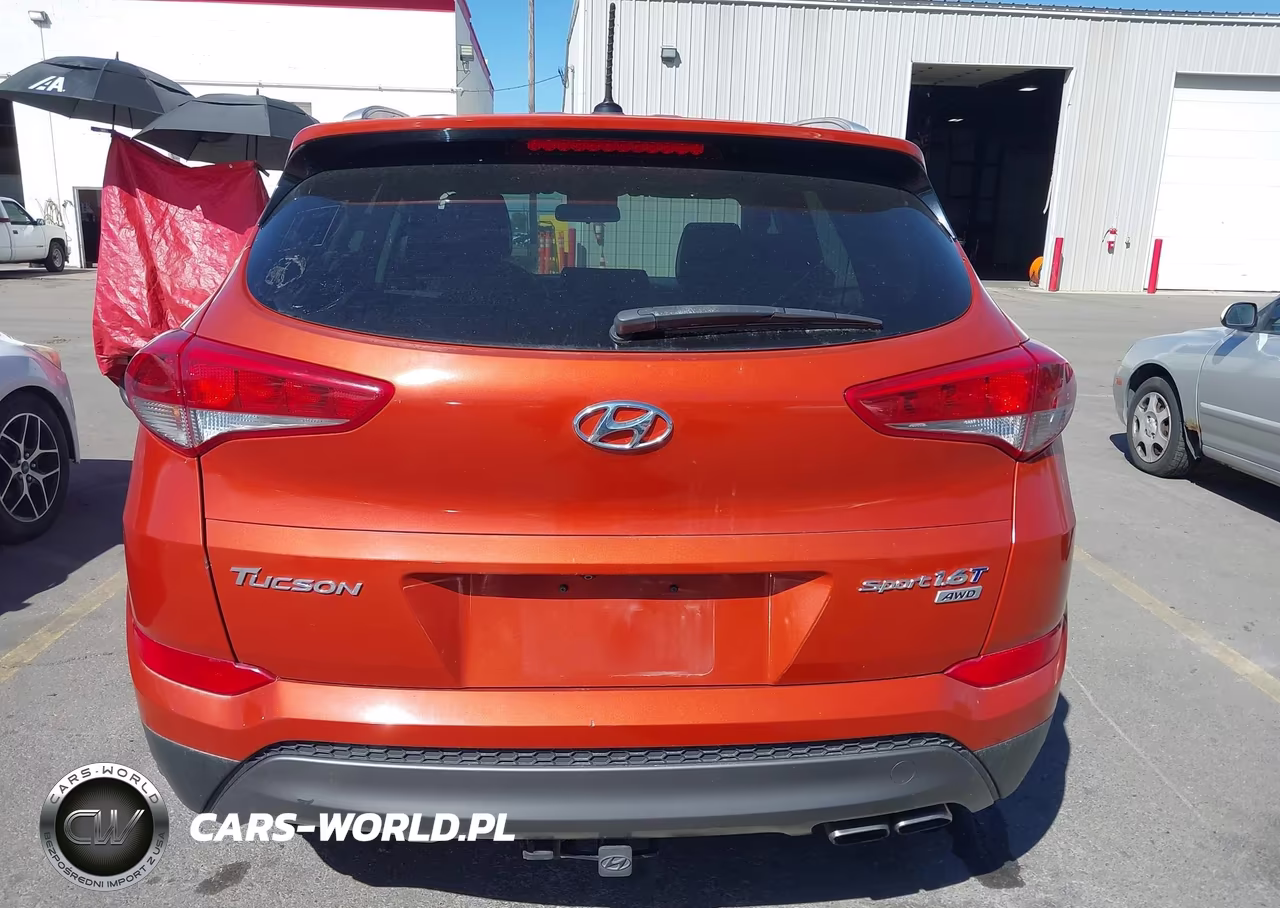 2016 Hyundai Tucson Sport VIN:KM8J3CA29GU068180 - 16