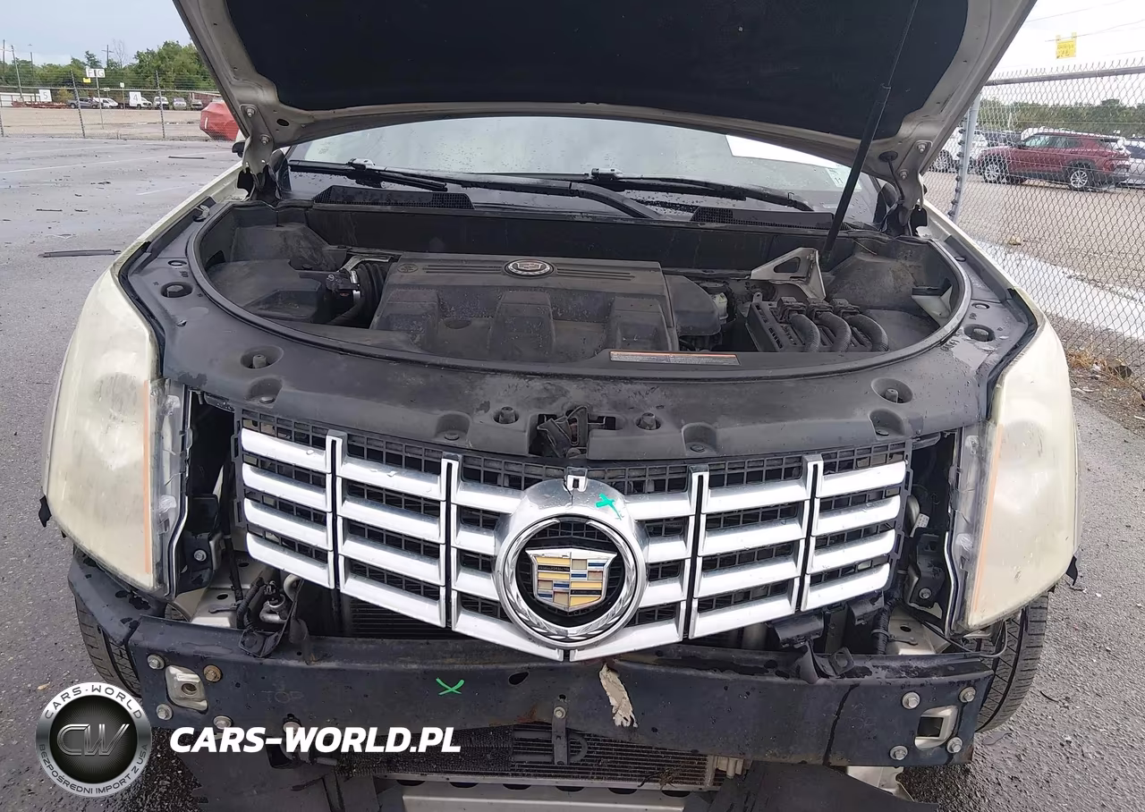 2013 Cadillac Srx Premium Collection VIN:3GYFNEE32DS625231 - 10