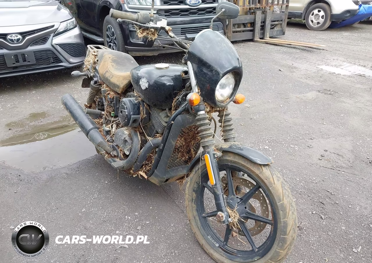 2015 Harley-Davidson Xg500 – zdjęcie 1 z 12