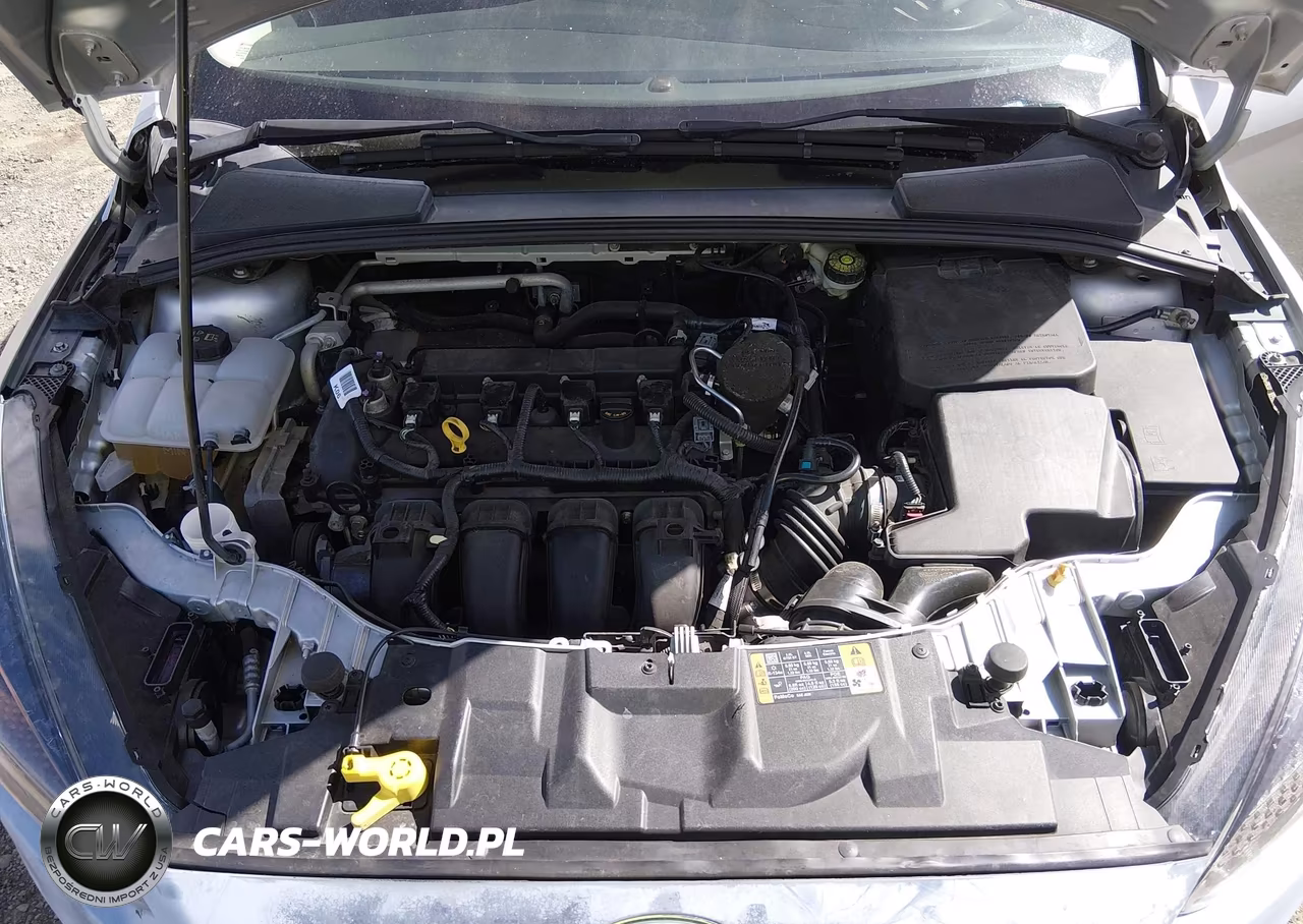 2015 Ford Focus Se VIN:1FADP3F28FL244743 - 10
