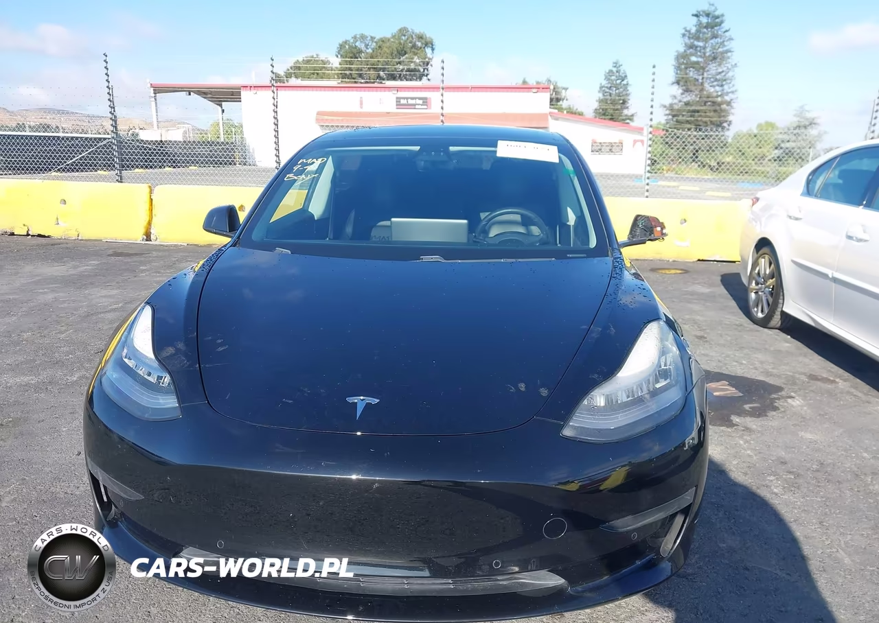2019 Tesla Model 3 Long Range-Mid Range-Standard Range-Standard Range Plus VIN:5YJ3E1EA6KF426804 - 12