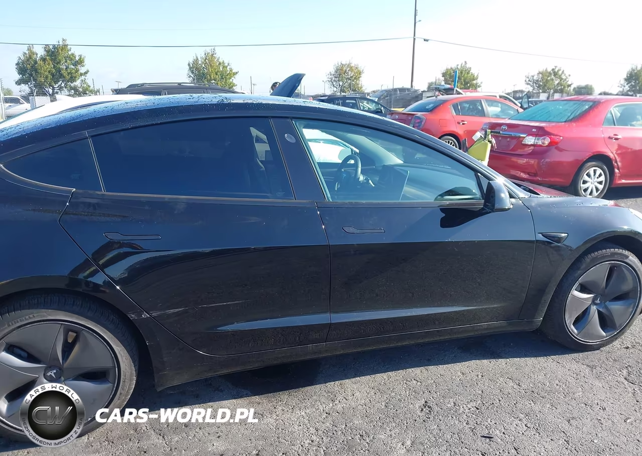 2019 Tesla Model 3 Long Range-Mid Range-Standard Range-Standard Range Plus VIN:5YJ3E1EA6KF426804 - 13