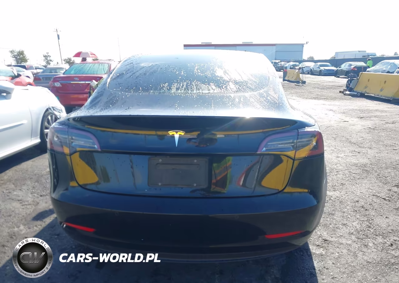 2019 Tesla Model 3 Long Range-Mid Range-Standard Range-Standard Range Plus VIN:5YJ3E1EA6KF426804 - 16