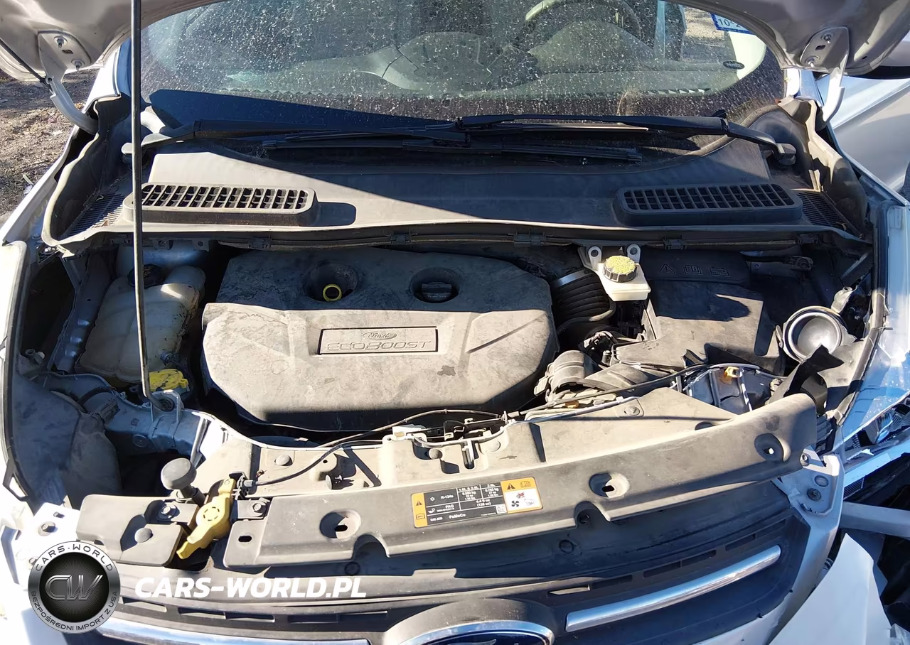 2015 Ford Escape Se VIN:1FMCU0G93FUC24625 - 10