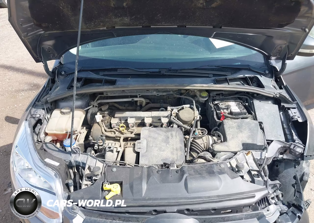 2014 Ford Focus Se VIN:1FADP3K26EL186345 - 10