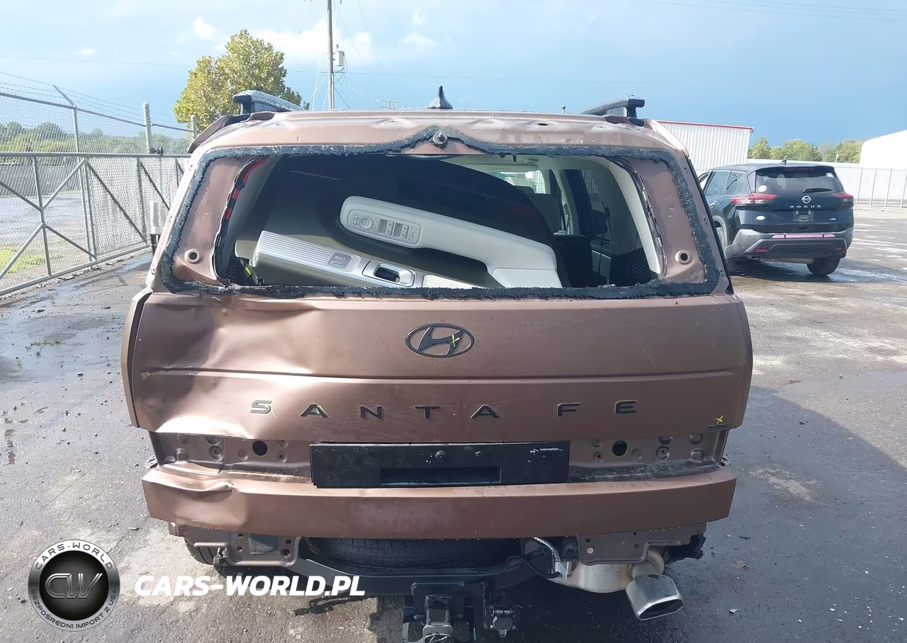 2025 Hyundai Santa Fe Calligraphy VIN:5NMP5DGL0SH092317 - 16