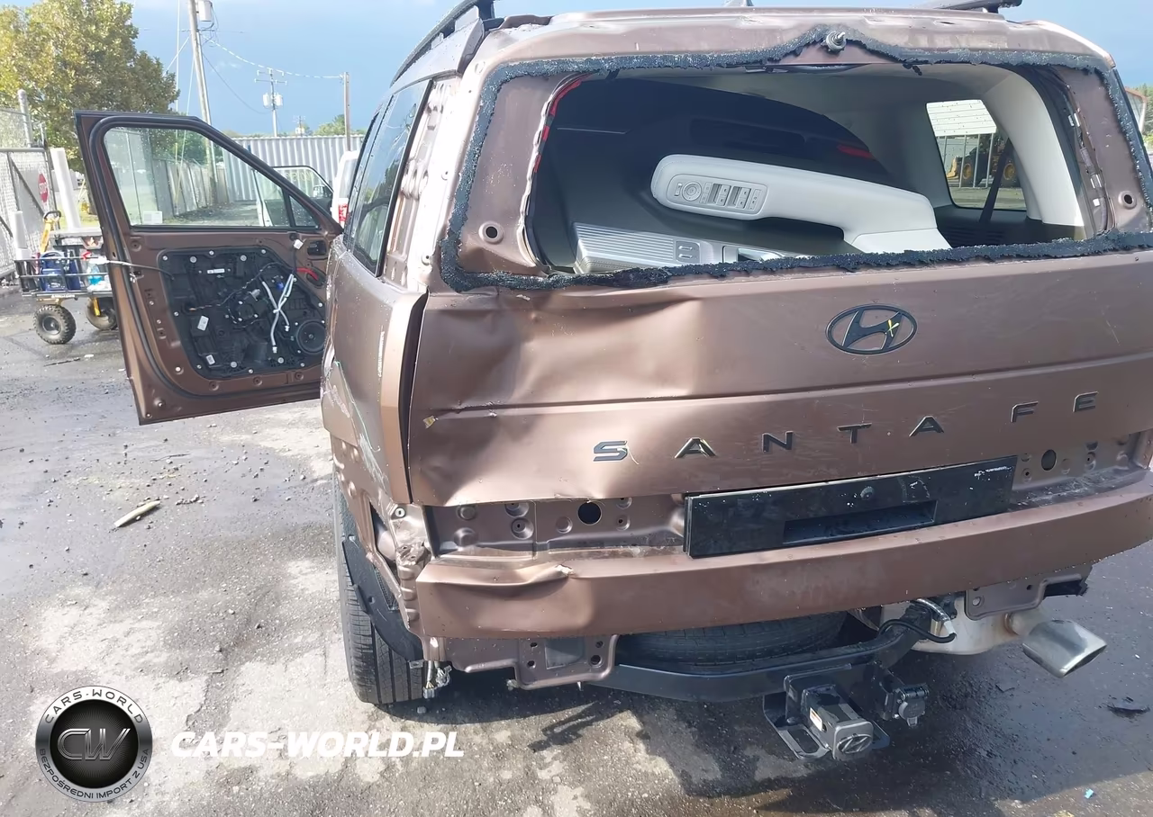 2025 Hyundai Santa Fe Calligraphy VIN:5NMP5DGL0SH092317 - 17