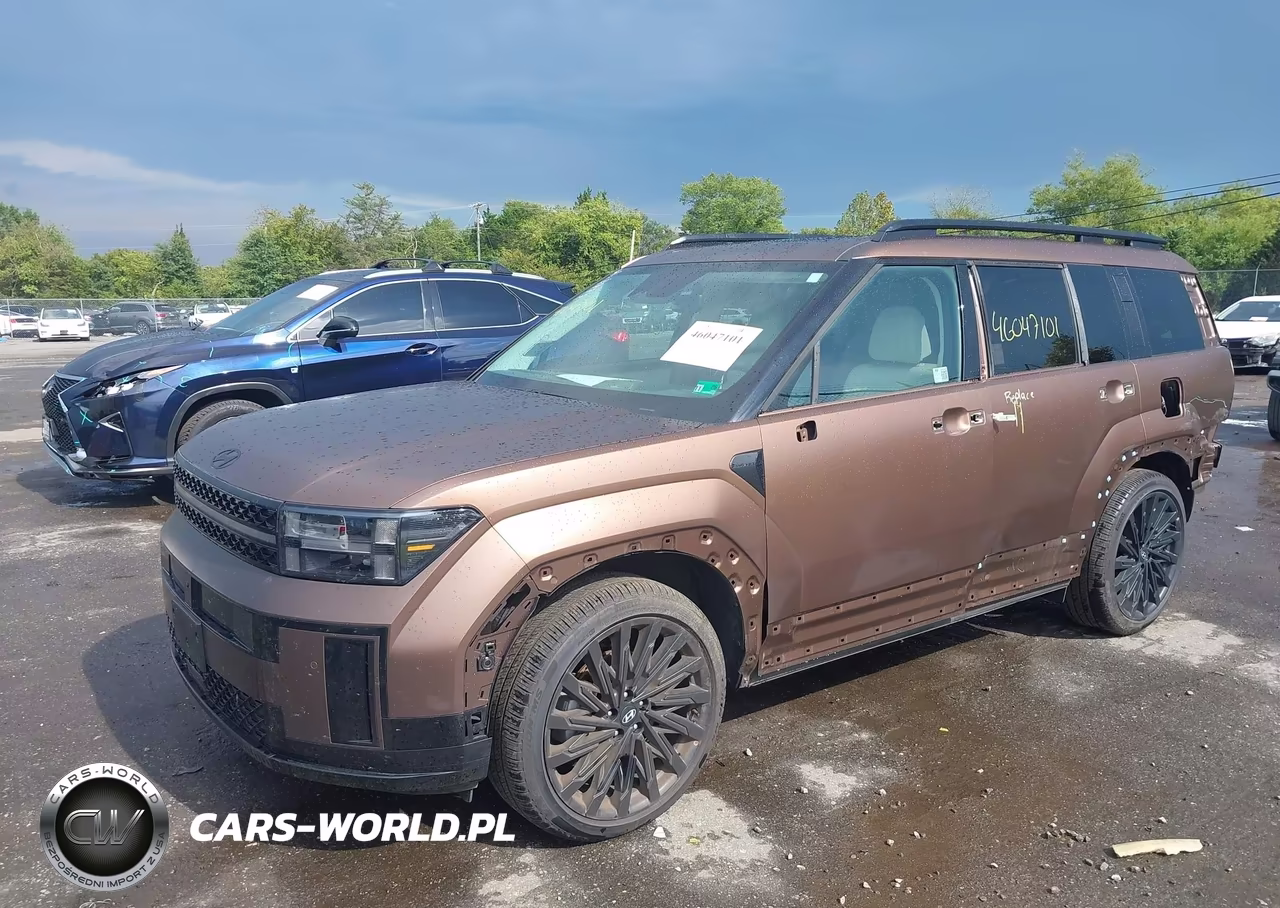 2025 Hyundai Santa Fe Calligraphy VIN:5NMP5DGL0SH092317 - 2