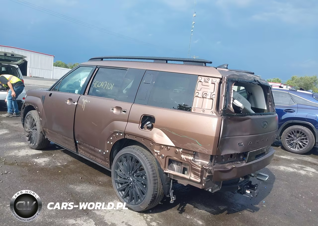 2025 Hyundai Santa Fe Calligraphy VIN:5NMP5DGL0SH092317 - 3
