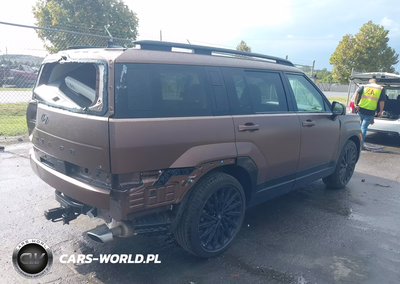2025 Hyundai Santa Fe Calligraphy VIN:5NMP5DGL0SH092317 - 4