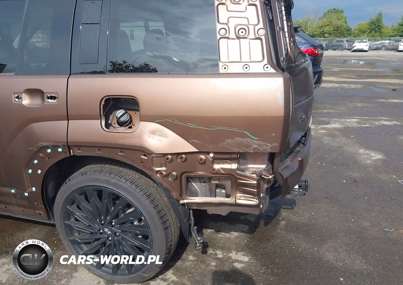 2025 Hyundai Santa Fe Calligraphy VIN:5NMP5DGL0SH092317 - 6