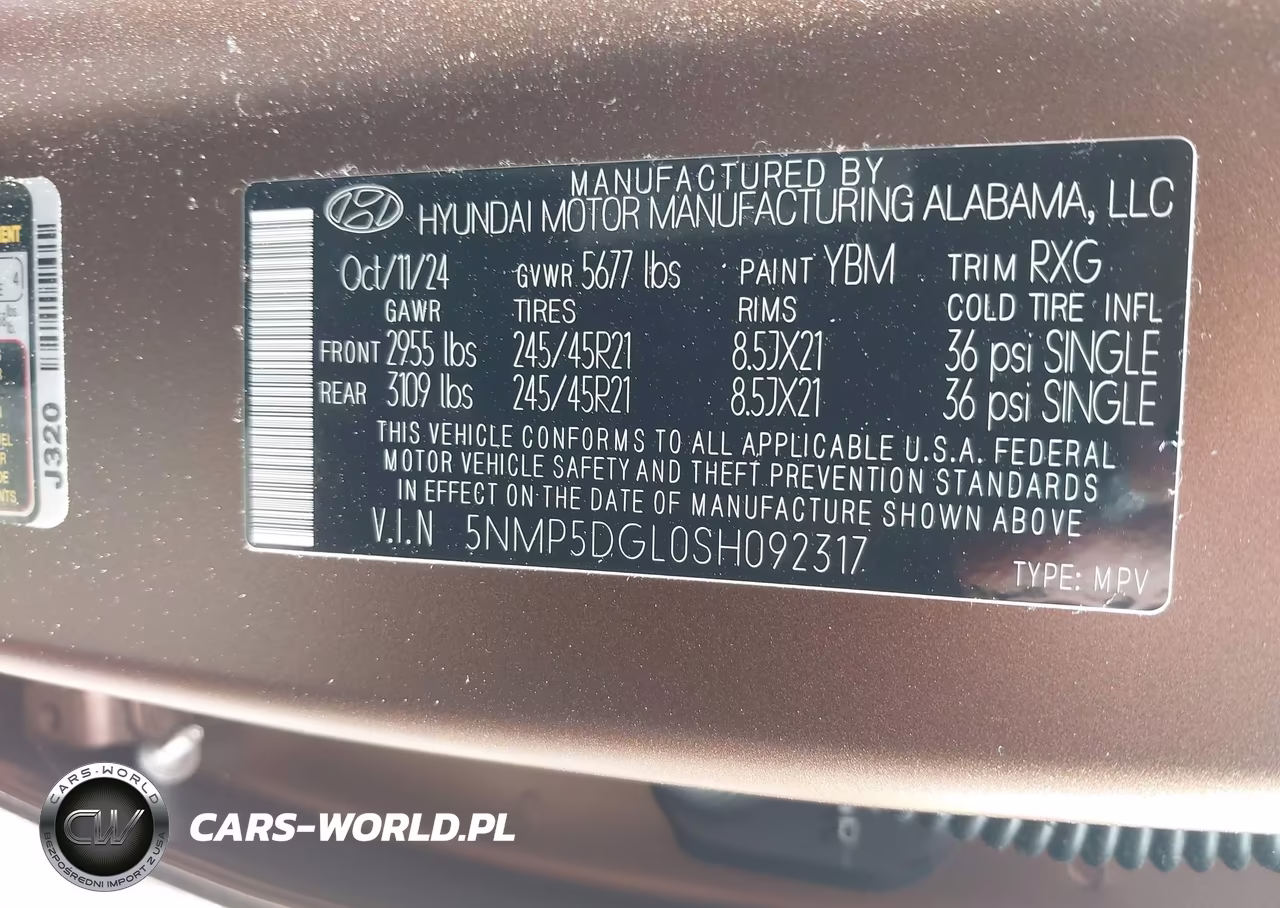 2025 Hyundai Santa Fe Calligraphy VIN:5NMP5DGL0SH092317 - 9