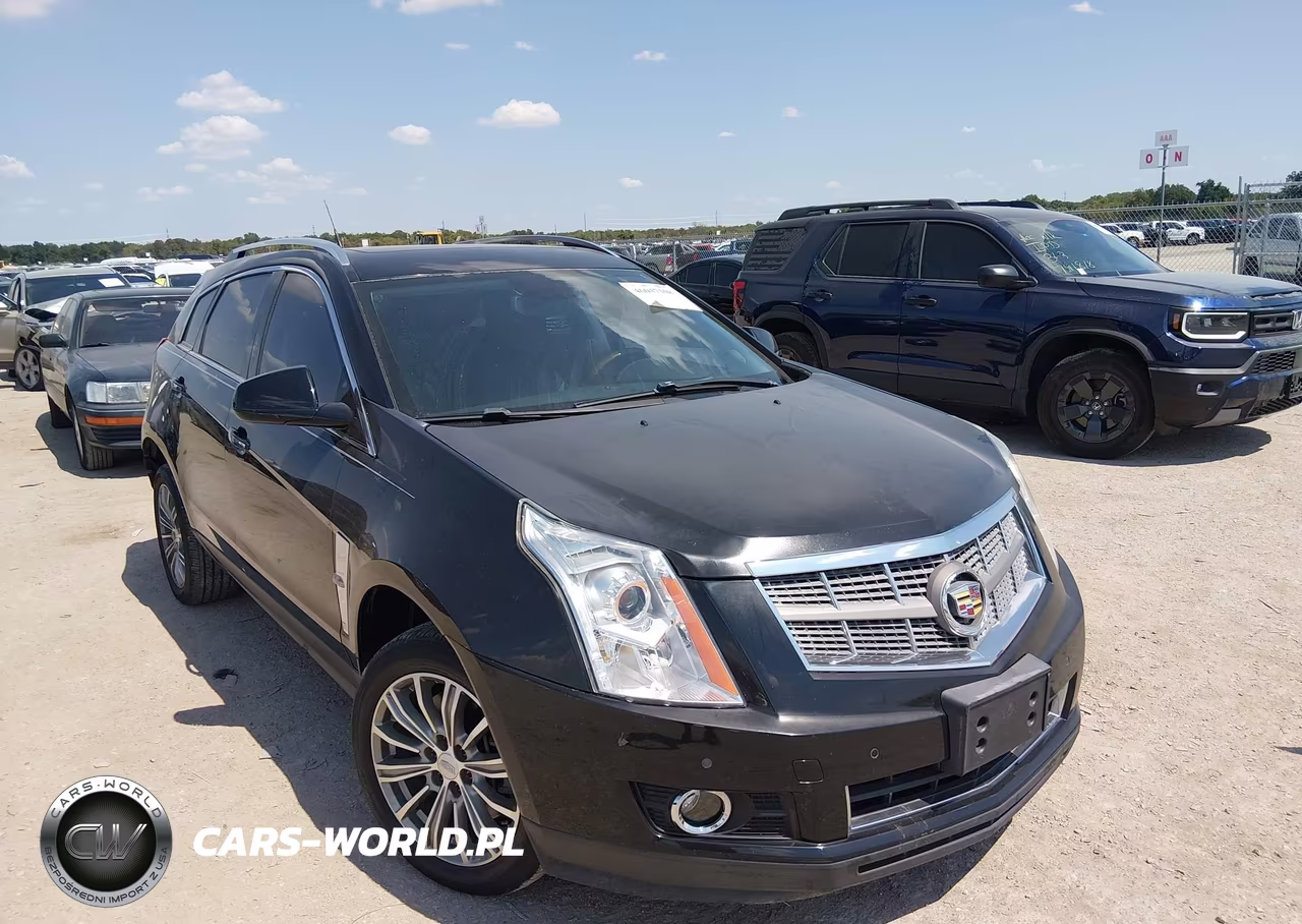 2010 Cadillac Srx Luxury Collection VIN:3GYFNAEY2AS506174 - 1