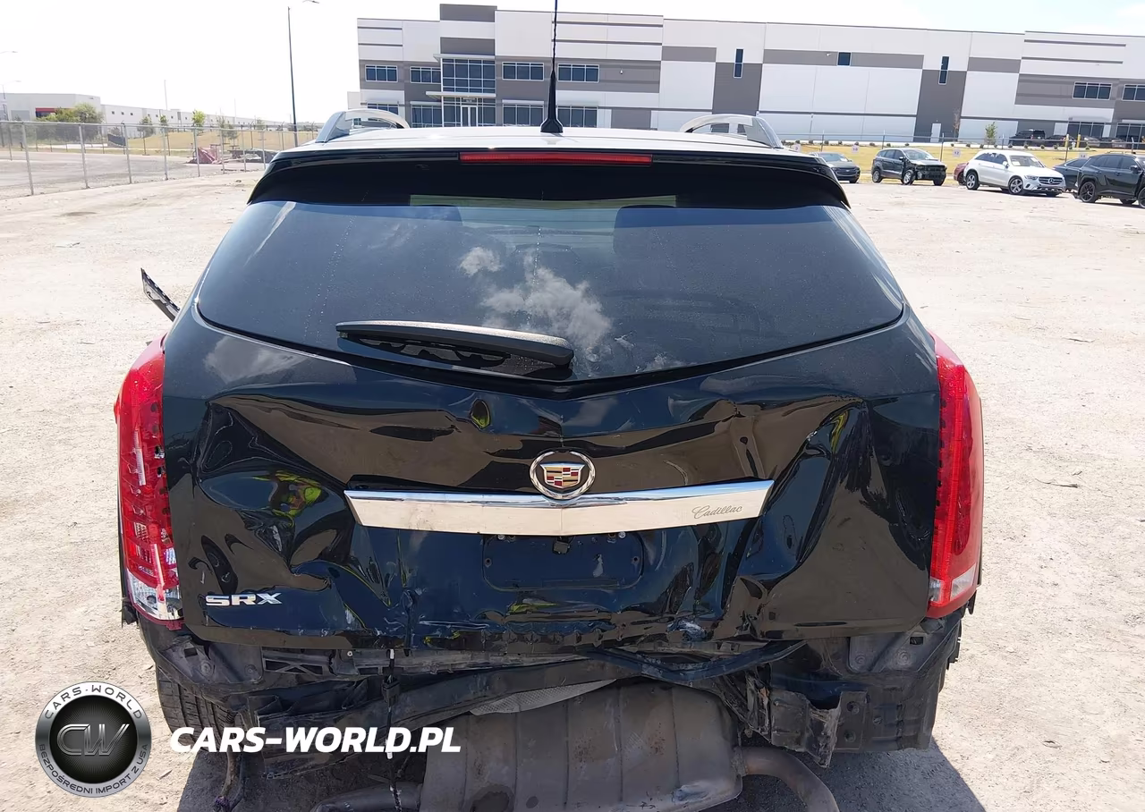 2010 Cadillac Srx Luxury Collection VIN:3GYFNAEY2AS506174 - 13