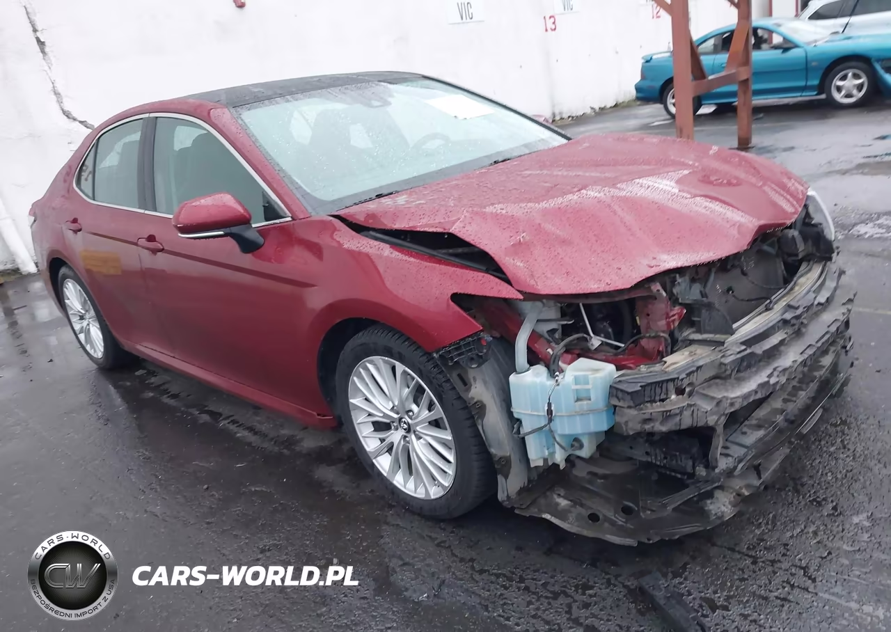 2019 Toyota Camry L-Le-Xle-Se-Xse VIN:4T1B11HK0KU235216 - 1