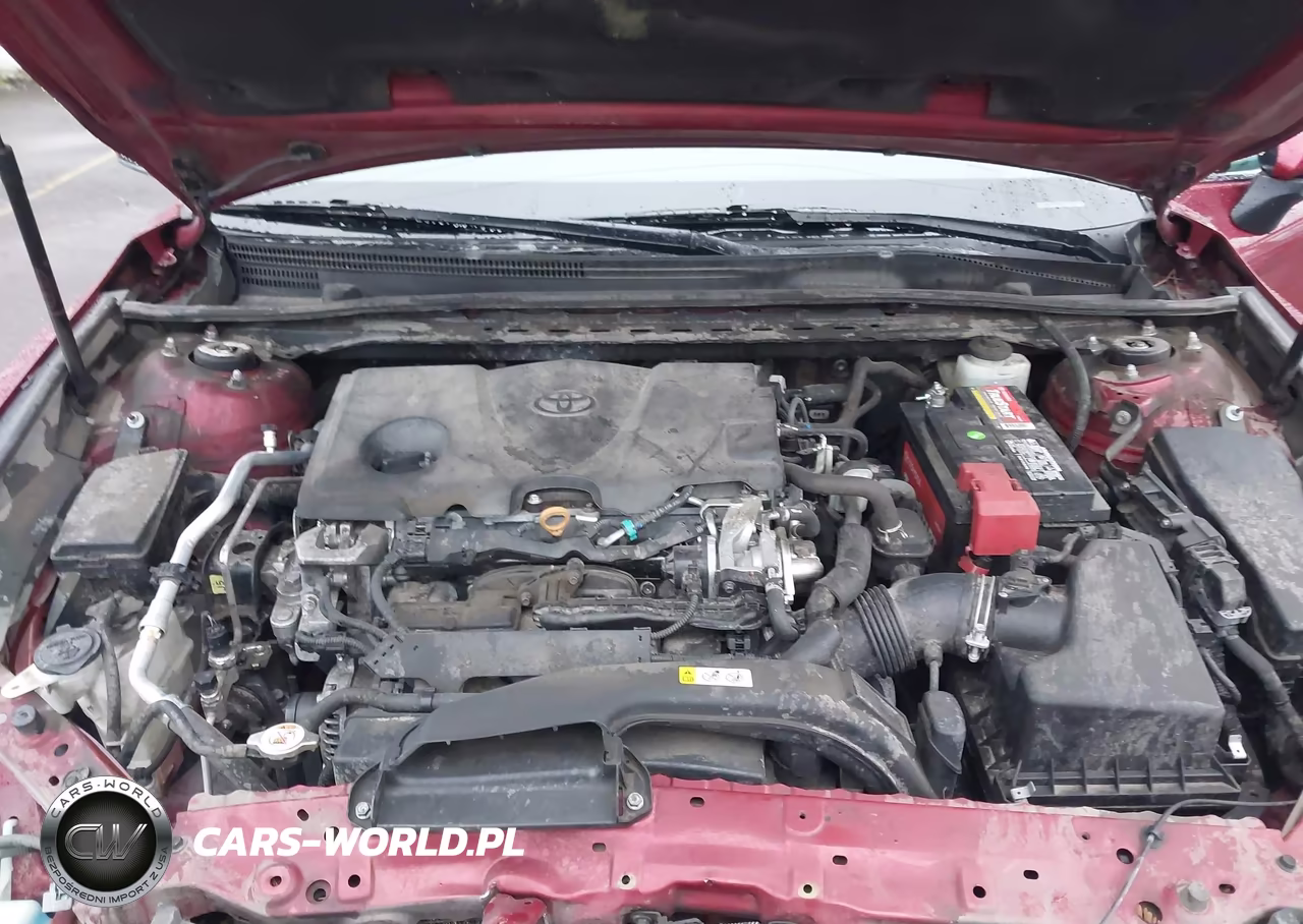 2019 Toyota Camry L-Le-Xle-Se-Xse VIN:4T1B11HK0KU235216 - 10