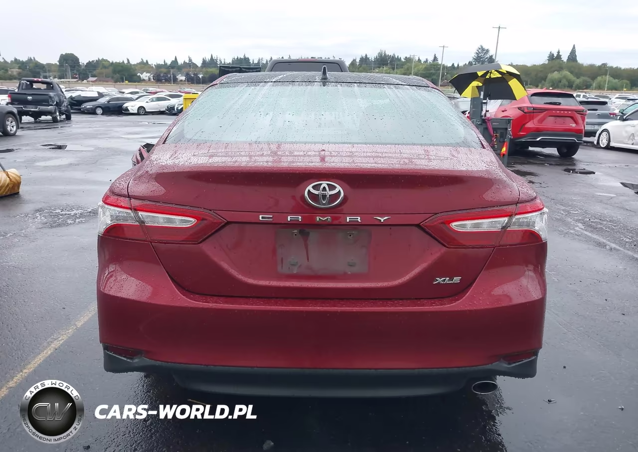 2019 Toyota Camry L-Le-Xle-Se-Xse VIN:4T1B11HK0KU235216 - 17