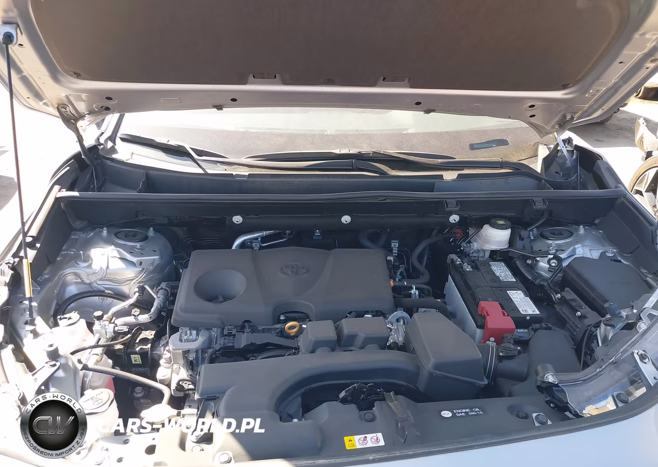 2024 Toyota Rav4 Xle VIN:2T3P1RFV9RW439046 - 10
