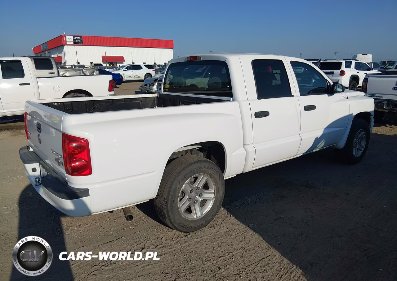 2010 Dodge Dakota Bighorn-Lonestar VIN:1D7CE3GK4AS164239 - 4