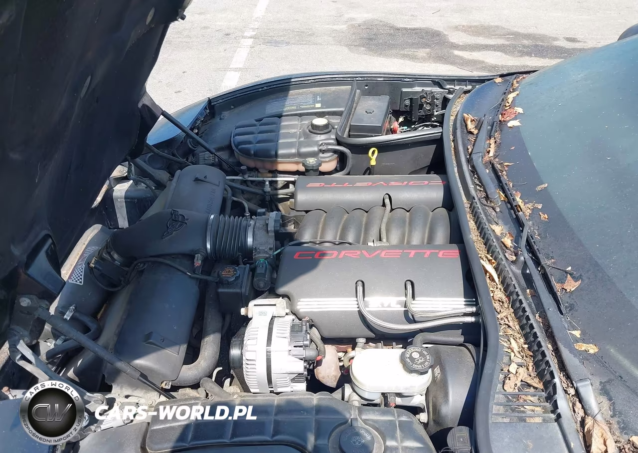 1998 Chevrolet Corvette VIN:1G1YY22G0W5111749 - 10