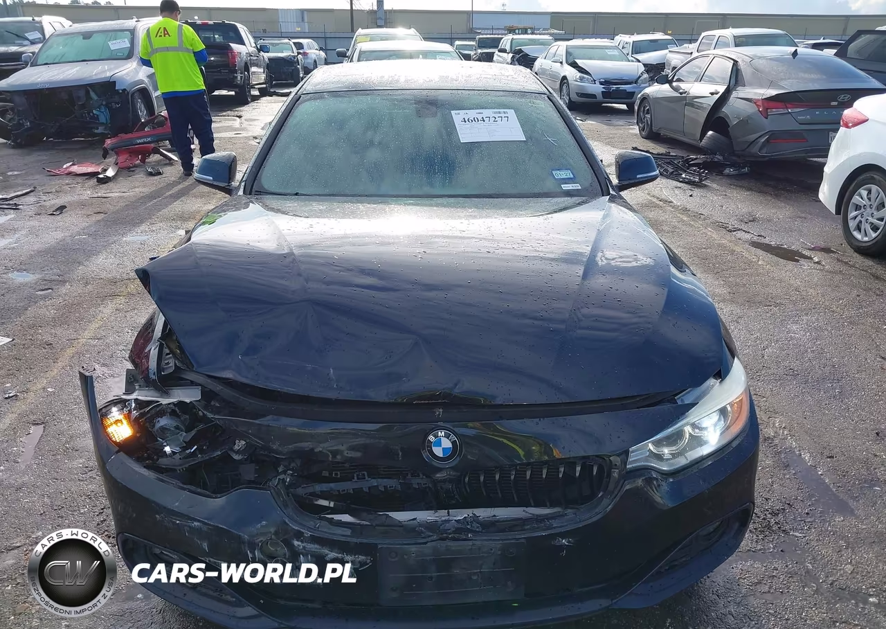 2015 BMW 428 Gran Coupe VIN:WBA4A5C53FGK16182 - 12