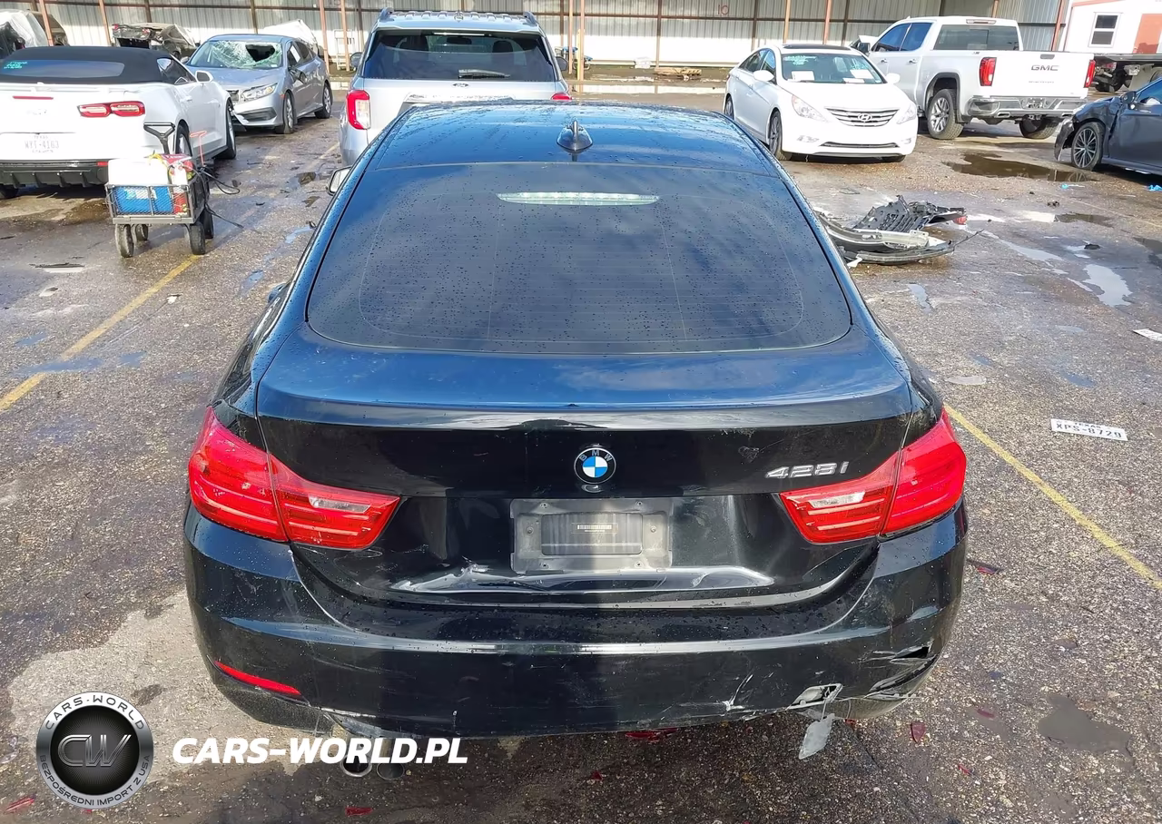 2015 BMW 428 Gran Coupe VIN:WBA4A5C53FGK16182 - 16