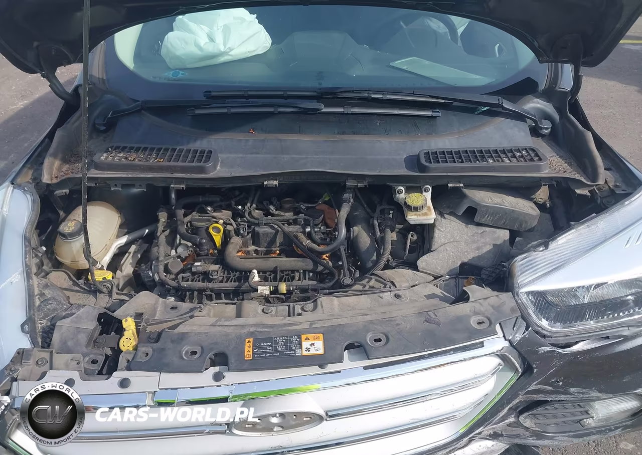 2019 Ford Escape Se VIN:1FMCU9GDXKUA77349 - 10