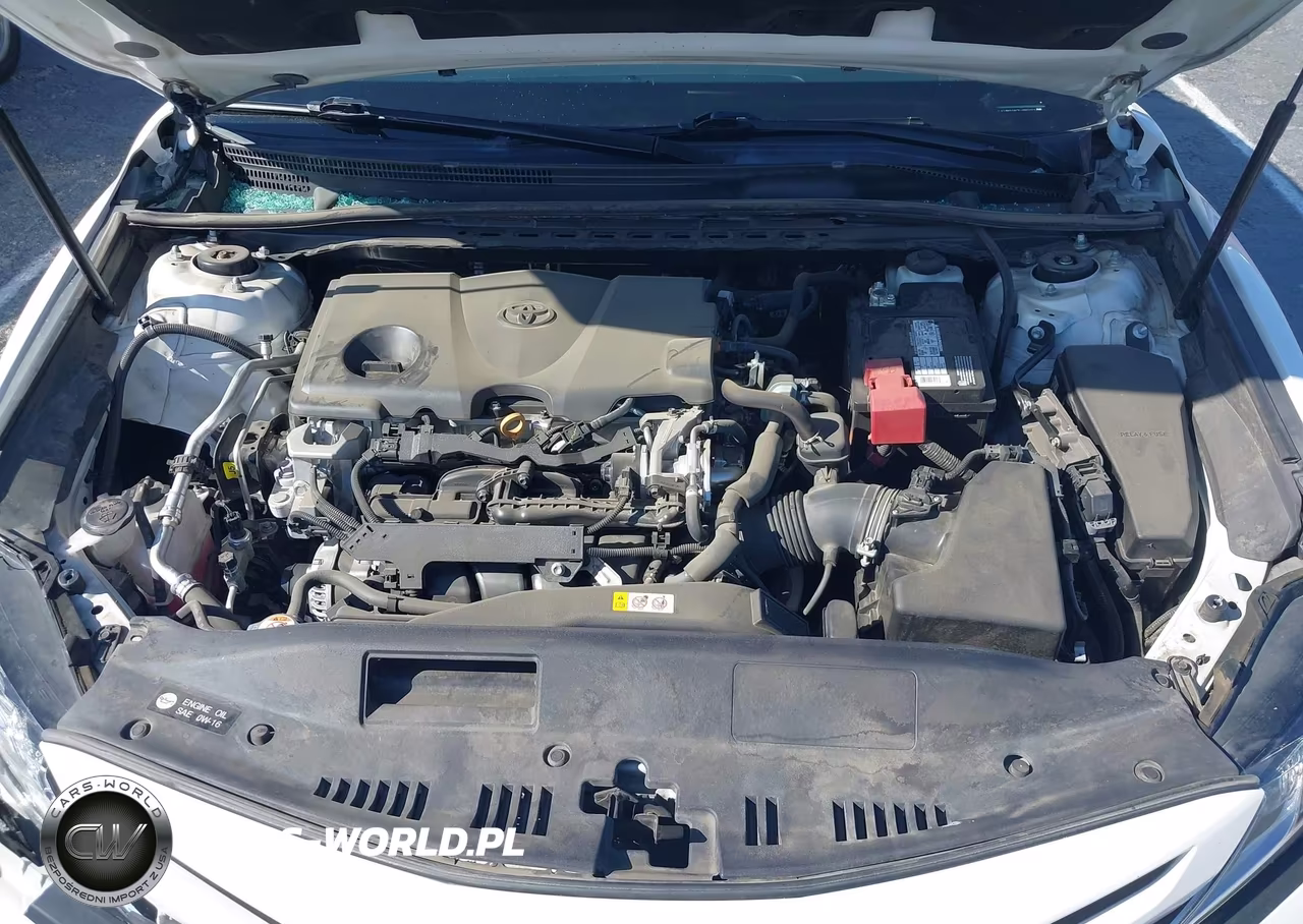 2020 Toyota Camry Se VIN:4T1M11AK7LU982171 - 10