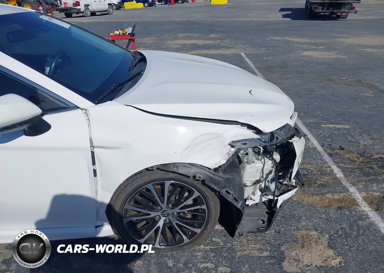 2020 Toyota Camry Se VIN:4T1M11AK7LU982171 - 17