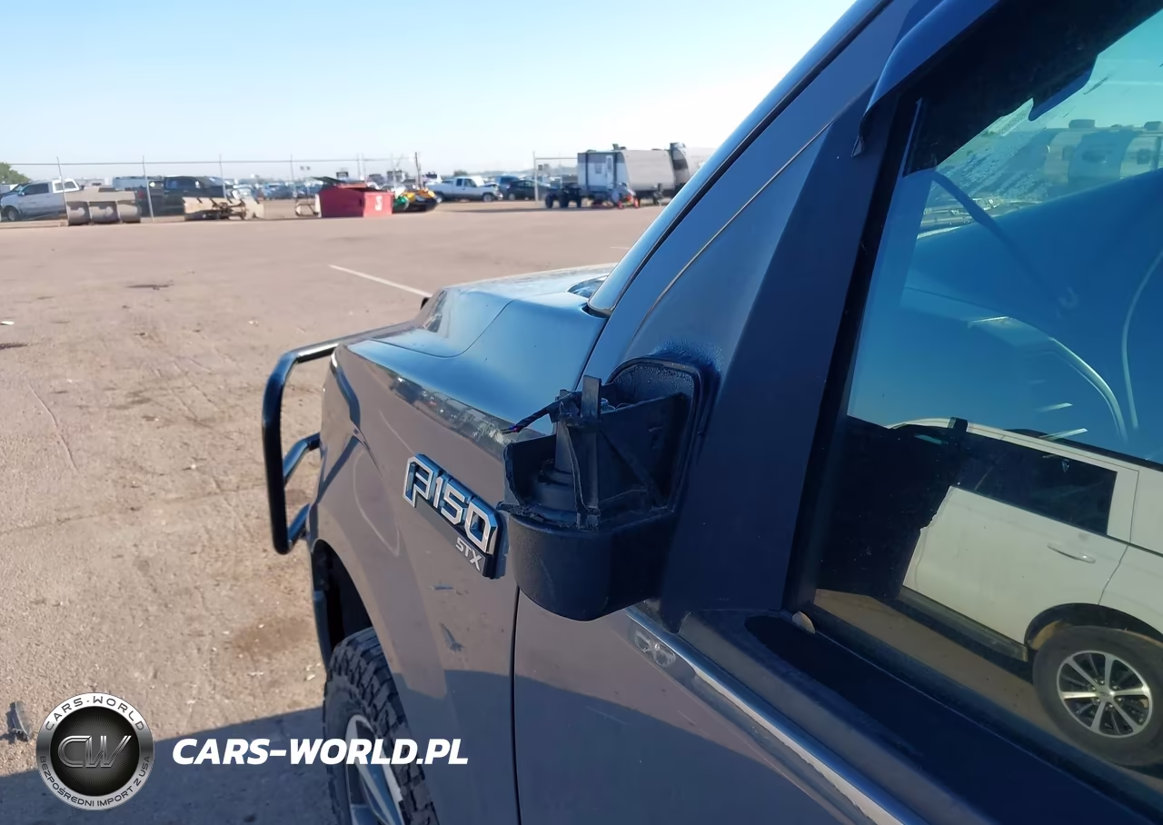 2020 Ford F-150 Xl VIN:1FTEW1EP0LFC66913 - 17