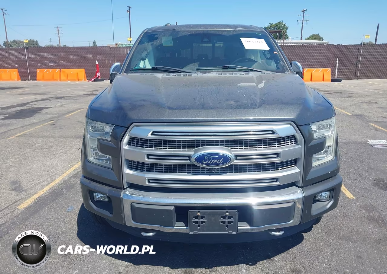 2016 Ford F-150 Platinum VIN:1FTFW1EG1GFB70539 - 11