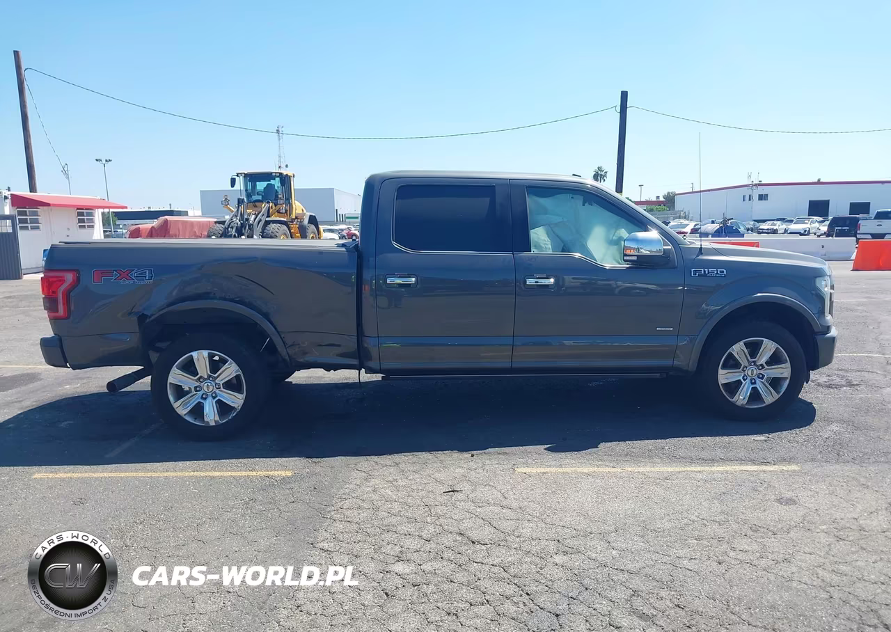 2016 Ford F-150 Platinum VIN:1FTFW1EG1GFB70539 - 12