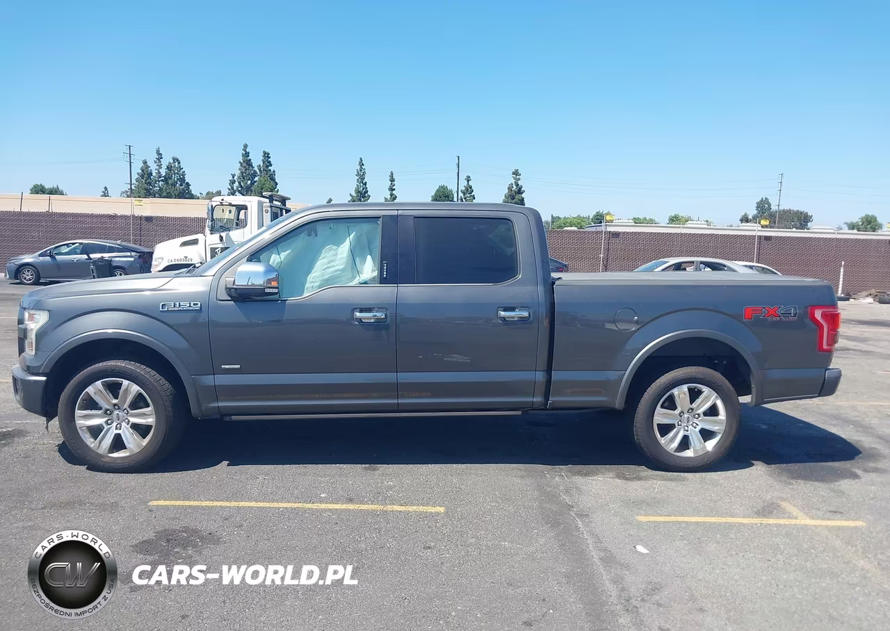 2016 Ford F-150 Platinum VIN:1FTFW1EG1GFB70539 - 13